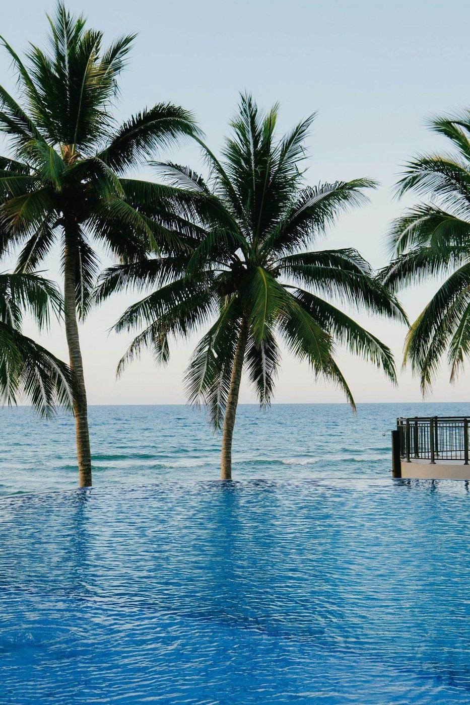 Luxury coastal California pool and palm trees overlooking the ocean